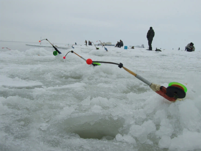 Рыбалка в Финском заливе - советы, лучшие места, способы и секреты
