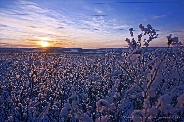 Весенняя тундра фото