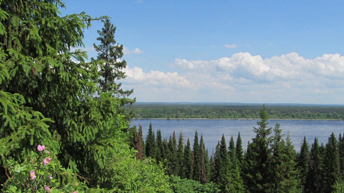 Нечкинский заповедник в Удмуртии